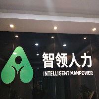 武汉智领人力资源有限公司
