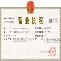 广东中安德信保安服务有限公司